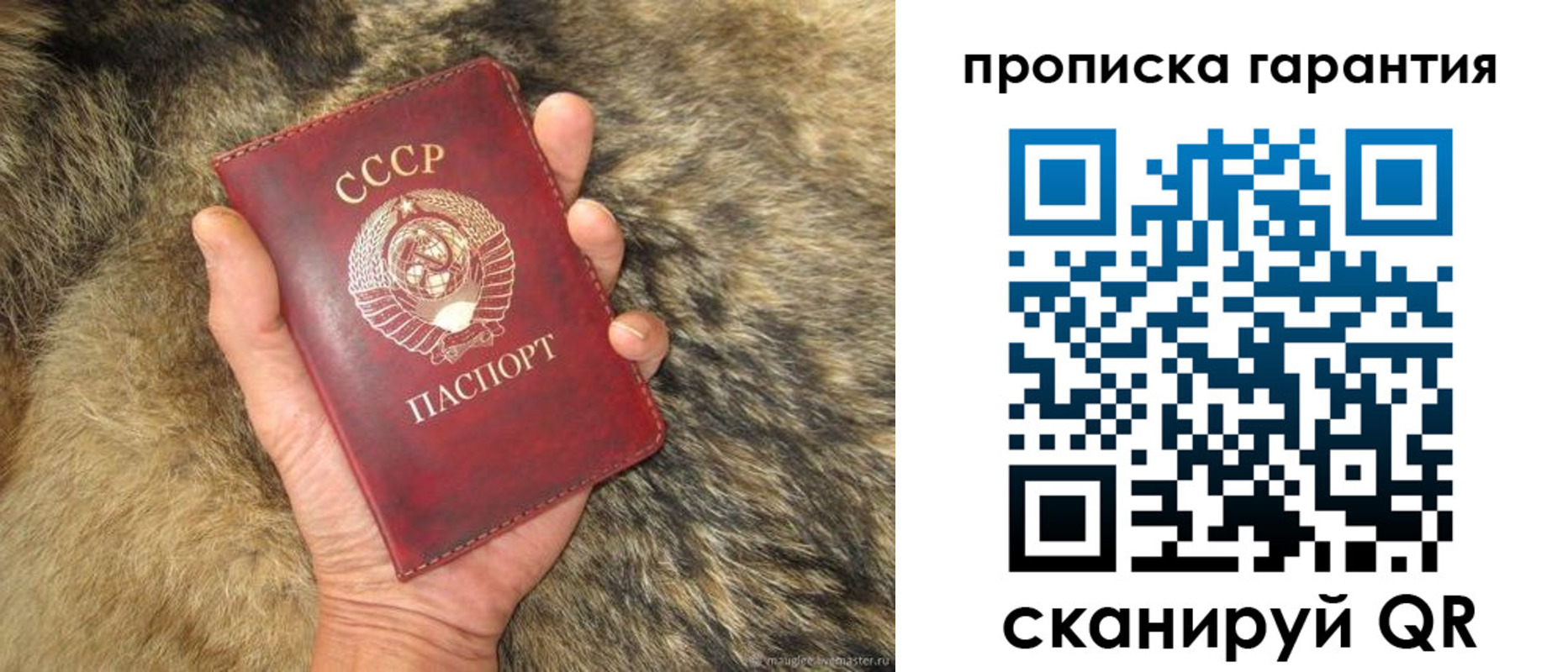 прописка паспорт в Шлиссельбурге